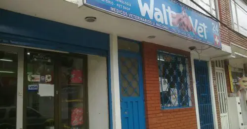WALT VET VETERINARIA WALT VET VETERINARIA